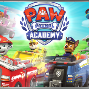 Car Academy