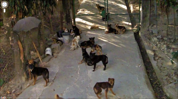 Приколы Google Street View