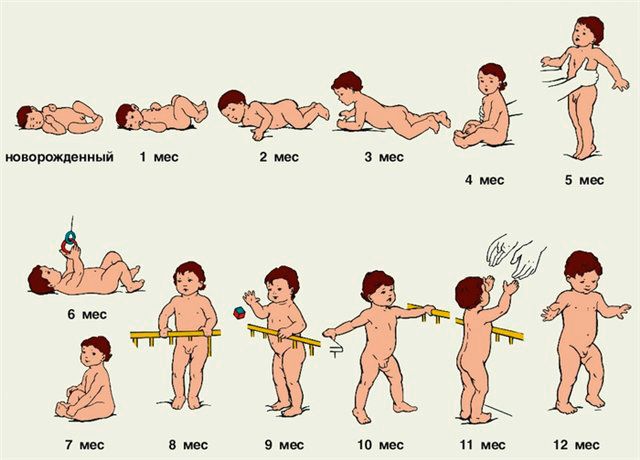 Развитие ребенка по месяцам до года
