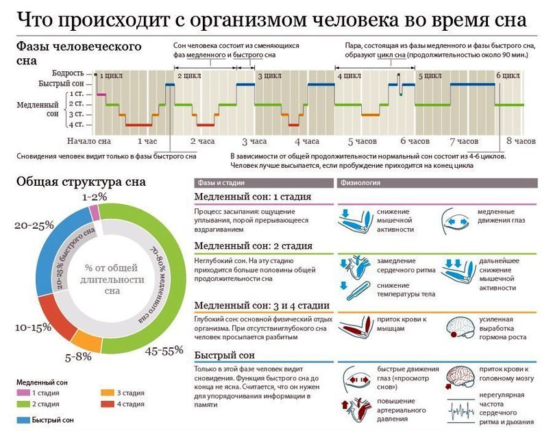 Процессы, которые происходят с человеком во время сна