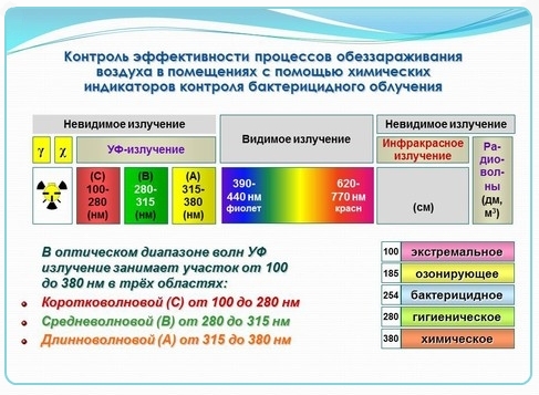 Кварцевание дома