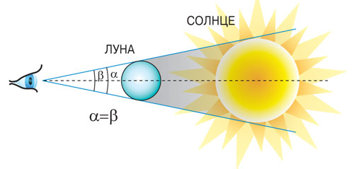 Секреты зрения и наука геометрия