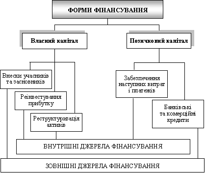 Форми фінансування