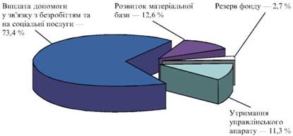  Структура видатків Фонду загальнообов'язкового державного соціального страхування