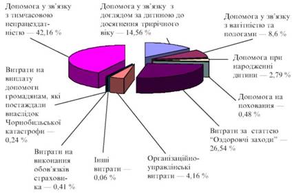 Структура видатків Фонду соціального страхування з тимчасової втрати працездатності