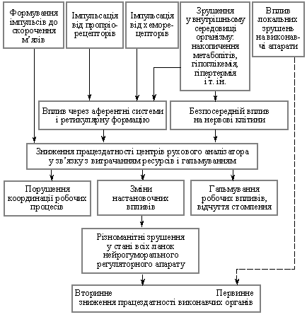 Механізм втоми при м’язовій роботі