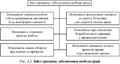 Зміст принципу забезпечення свободи праці