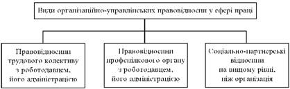 Види організаційно-управлінських правовідносин у сфері праці