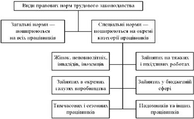 Види правових норм трудового законодавства