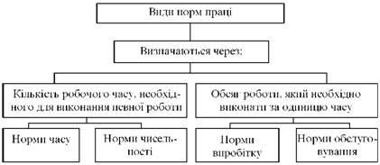 Види норм праці