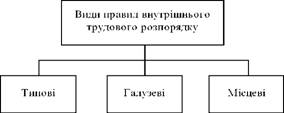  Види правил внутрішнього трудового розпорядку