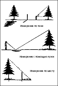 Ориентирование на местности